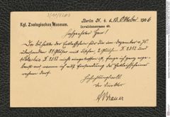 Nachlass Franz Steindachner, Postkarte von A. Brauer an Franz Steindachner (13.10.1906), Inv.Nr. 53.03, Seite 1